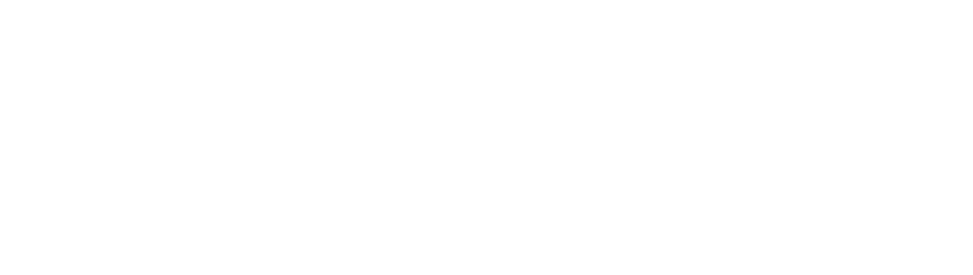 netweb